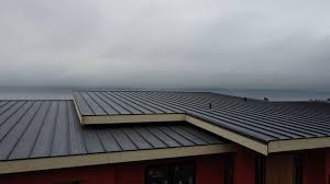 Best Rubber Roofing (EPDM, TPO)  in Lake Tansi, TN